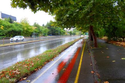 Булевард в Разград