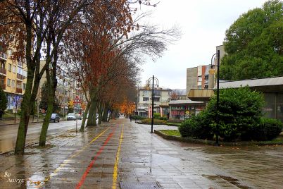 Улица в Разград