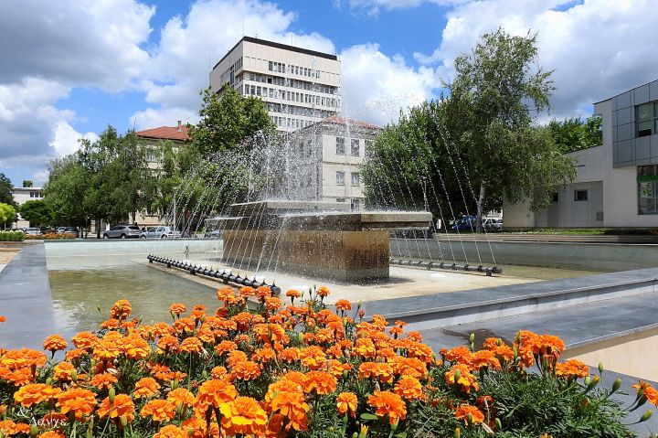 Фонтан в Разград